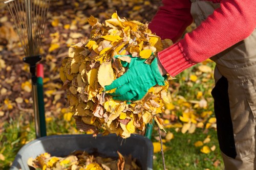 Professional garden clearance services in Palmers Green